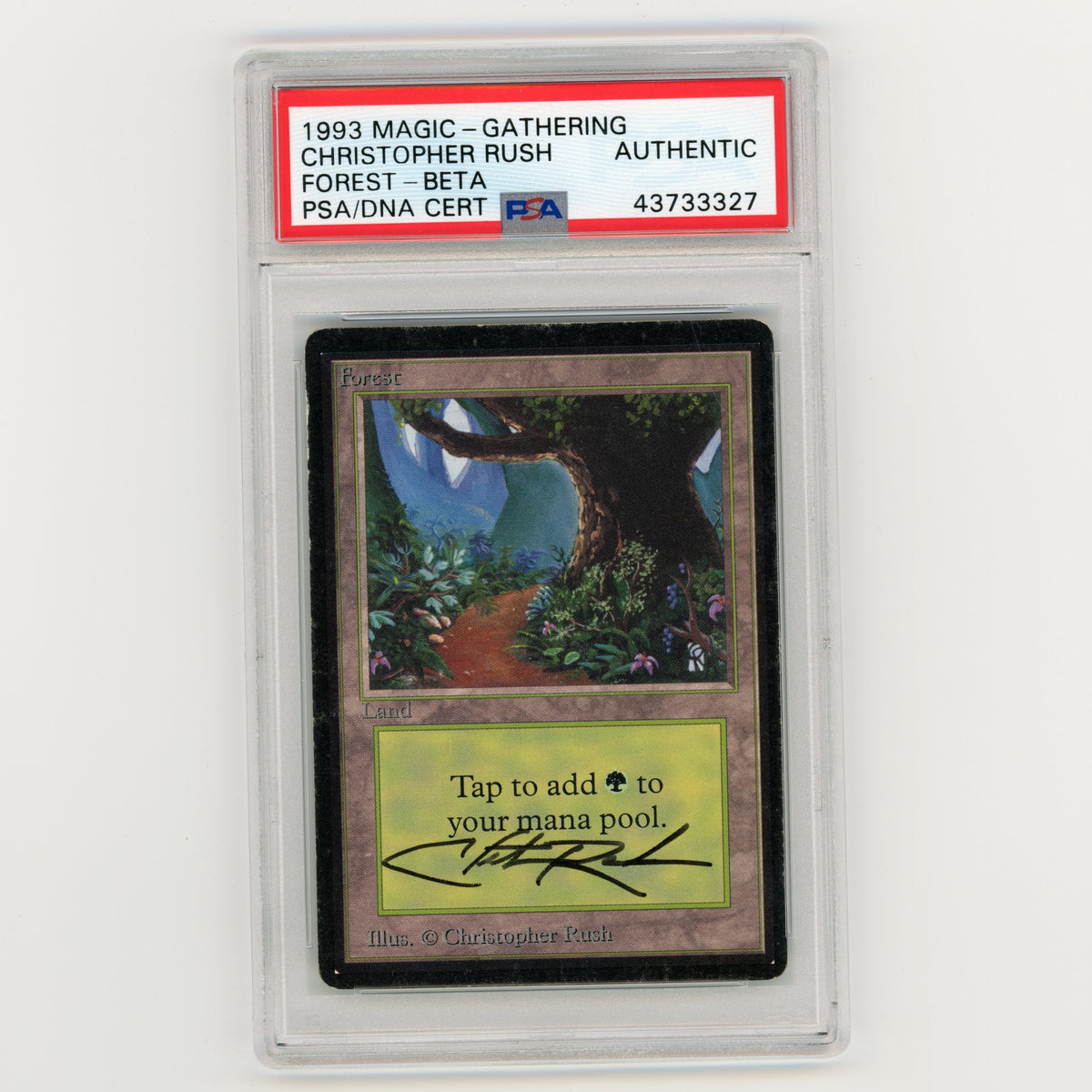 1993 Magic The Gathering Christopher Rush Forest Beta Authentic (#MW8024)